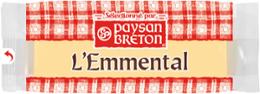 MINI EMMENTAL 17G x 100 P.BRETON