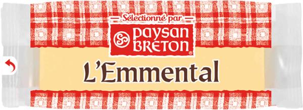 MINI EMMENTAL 17G x 100 P.BRETON