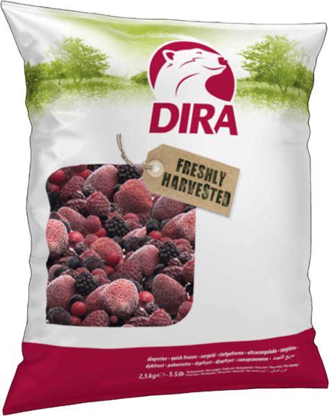COCKTAIL DE FRUITS ROUGES 1KG DIRA