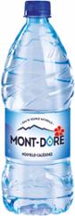 EAU MONT-DORE 1L
