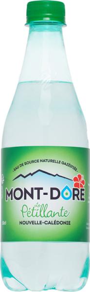 EAU GAZEUSE MONT-DORE 50CL