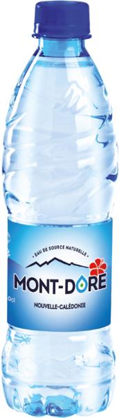EAU MONT-DORE 50CL